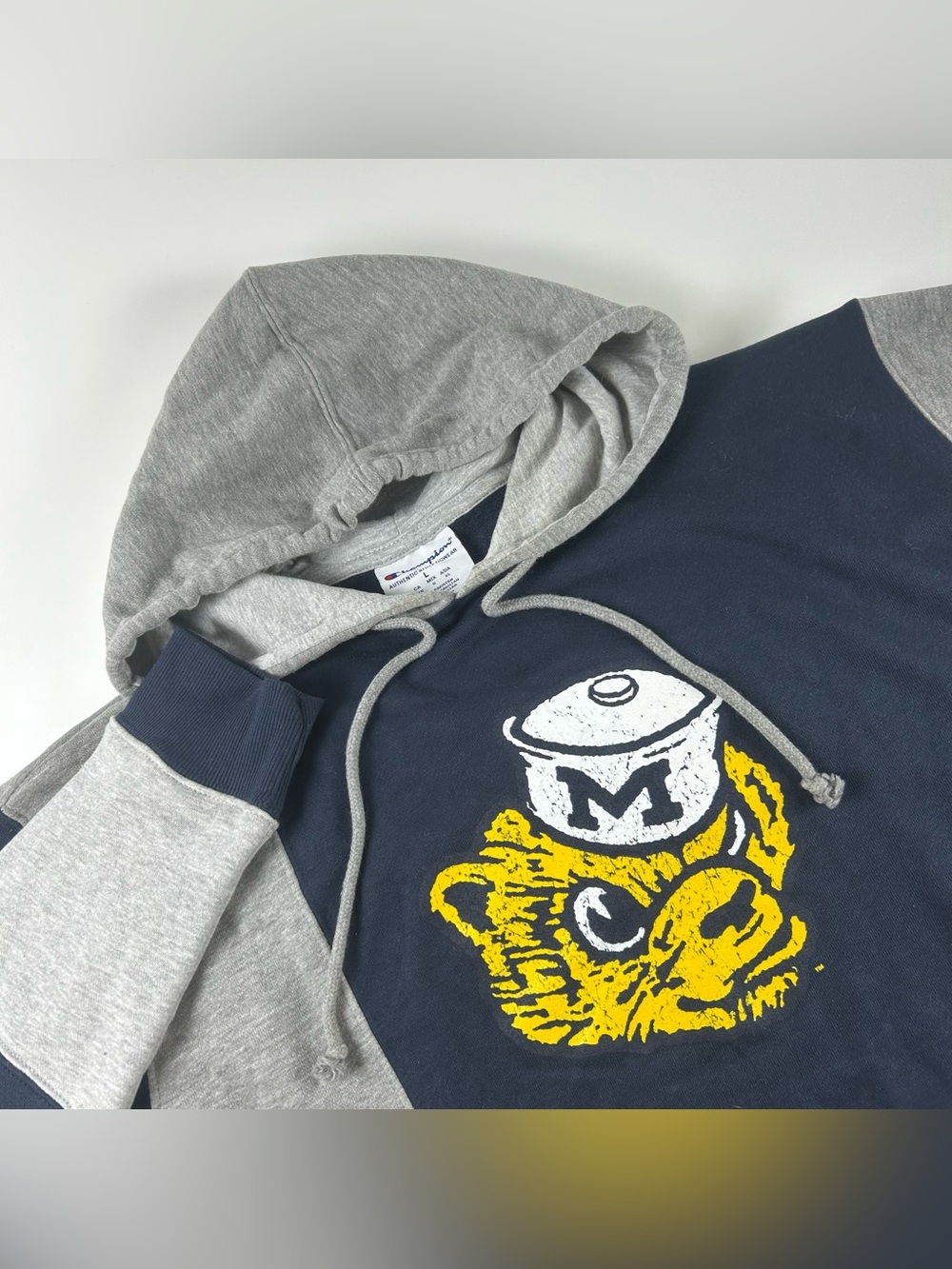 Michigan Wolverines Men’s SZ L Colorblock Mascot Sweatshirt NCAA Legacy Logo